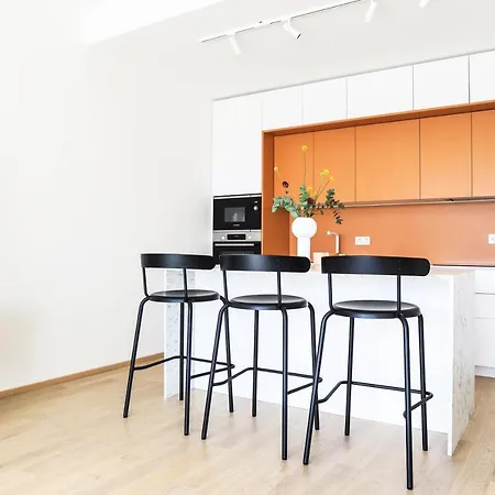 Kadriorg Plaza 2 Bedroom Free Parking * 塔林