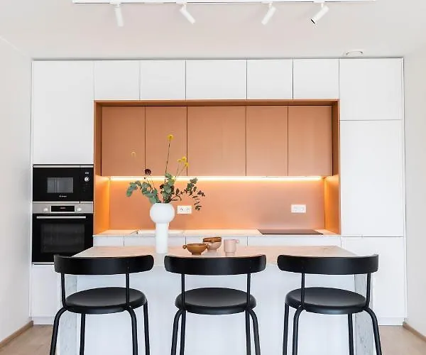 Kadriorg Plaza 2 Bedroom Free Parking * Tallin