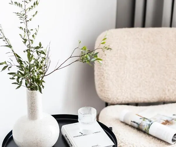 Kadriorg Plaza 2 Bedroom Free Parking 公寓 *